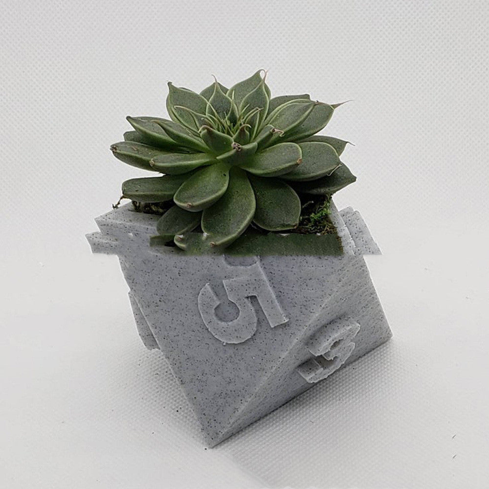3D Printed Plant Pot Table Top RPG Dice Succulent Planter Set